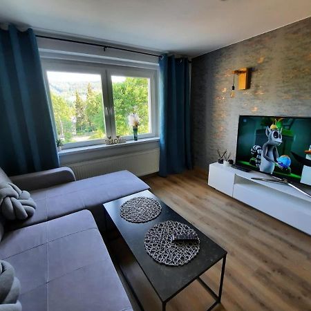 Orlicka Apartament ดุสนิกิ สดรอย ภายนอก รูปภาพ